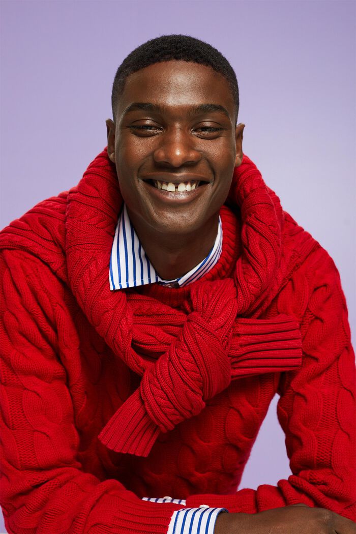 ‌羊毛絞花針織衫, 深紅色, detail image number 0