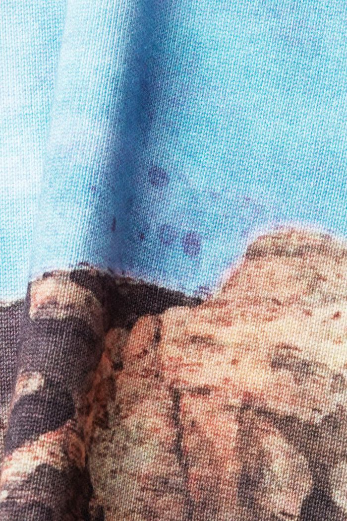 All-over landscape digital print sweater, TURQUOISE, detail image number 4
