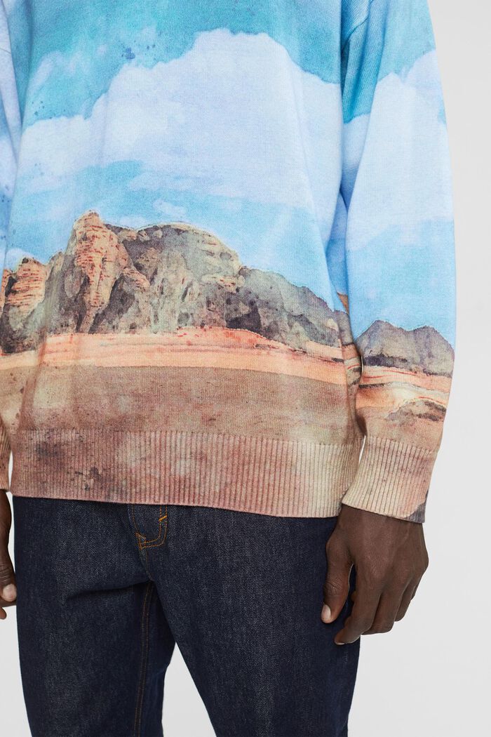 All-over landscape digital print sweater, TURQUOISE, detail image number 1