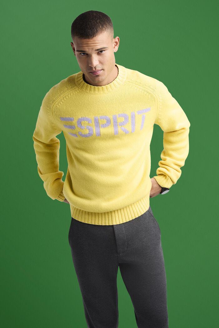 Chunk Knit Wool-Cashmere Sweater, PASTEL YELLOW, detail image number 0